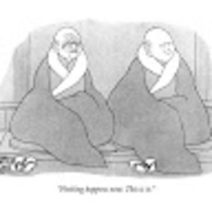 Meet your Posher, Sam